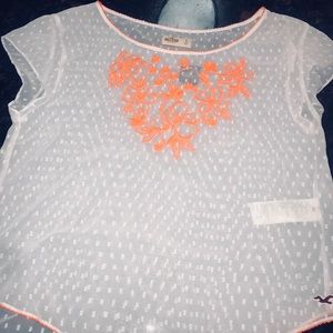 Hollister Sheer Top